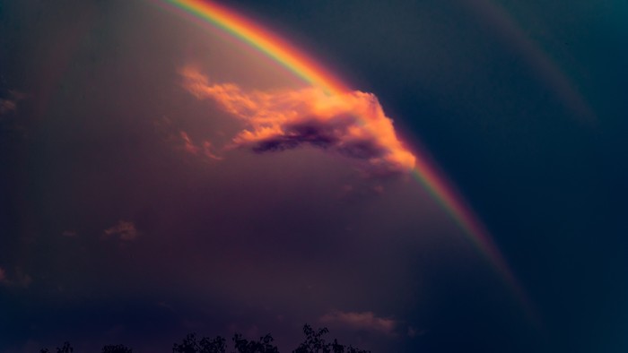 Ein Regenbogen bei Sonnenuntergang mit dunklen Wolken und Bäumen im Vordergrund