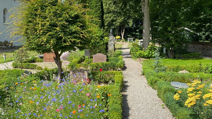 En smuk have med blomster og en sti gennem træerne