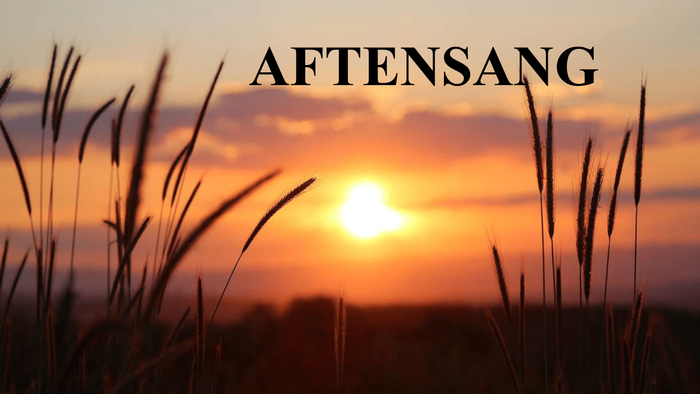 Solnedgang over et felt med højt græs, mærket AFTENSANG