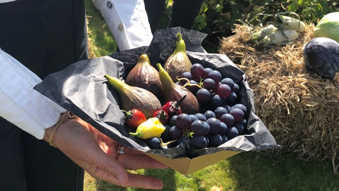 En person holder en papirpose med en blanding af exotiske frugter og nødder.