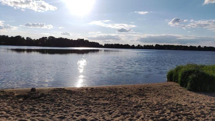 Ein ruhiger See mit sandigem Ufer und Bäumen am Horizont bei Sonnenuntergang