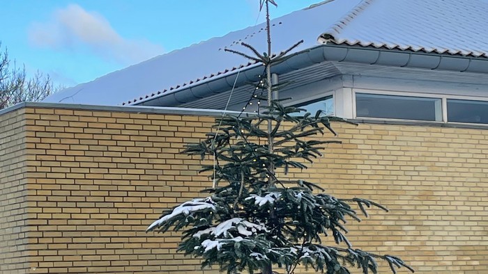 Snebeklædt stedsegrøn træ foran en murstensbygning.