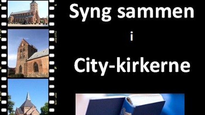 Billedet viser kirker og en person holder en bog med tittelen 