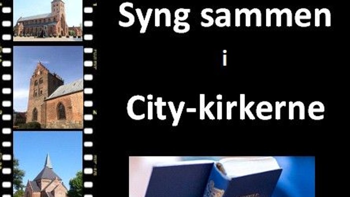 Billedet viser kirker og en person holder en bog med tittelen 