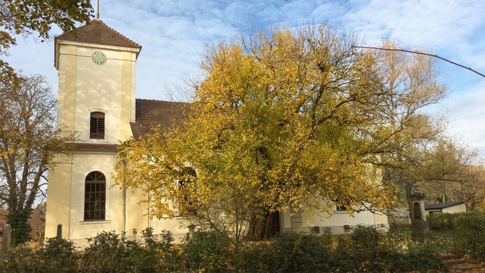 Dorfkirche Alt-Lübars im Herbst von außen
