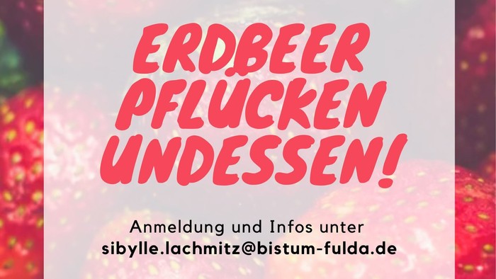Das Bild zeigt eine Ankündigung für Erdbeer-Pflücken mit Datum und Ort sowie Kontaktdetails.