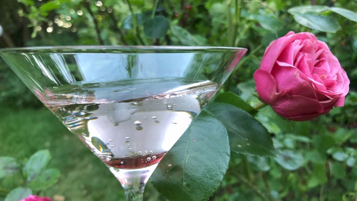 Ein Glas mit klarem Getränk steht im Garten neben einer Rose