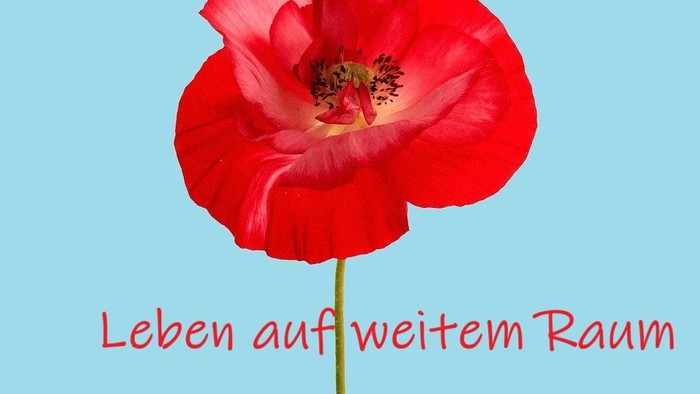 Ein leuchtend roter Mohnblüte vor blauem Hintergrund mit der Aufschrift 