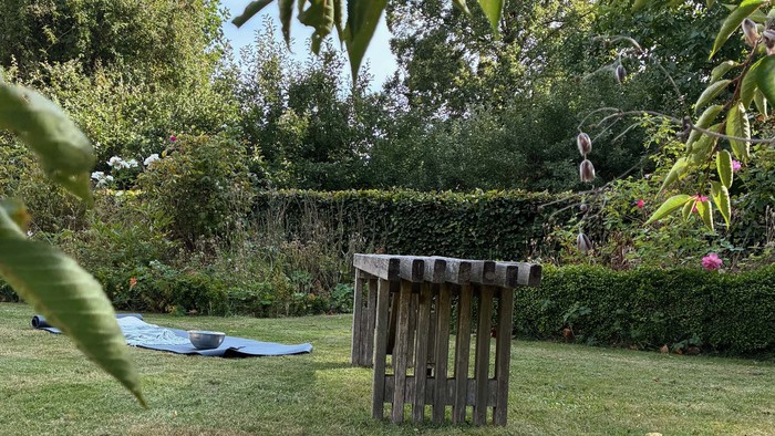 En trækonstruktion i en grøn have med mange planter og træer.