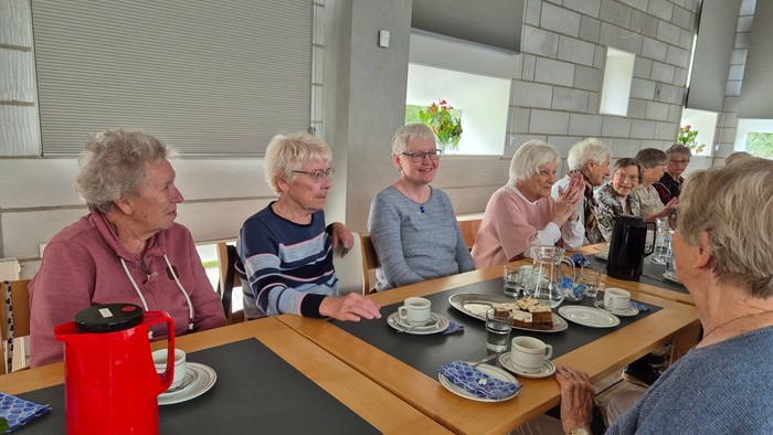 Gruppe af ældre mennesker, der drikker te og snakker.