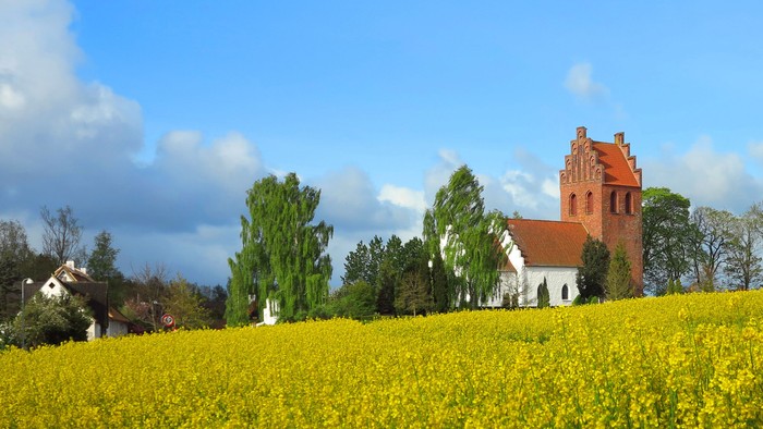 En rød kirke med tårn og hvidt tage i en guldrueeng.