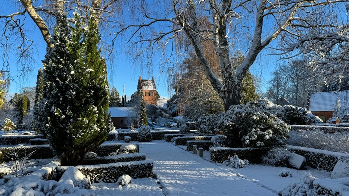 Sneklædt have med træer og et hus i baggrunden