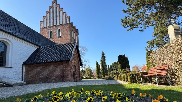 Solbeskinnet kirkegård med livlige solsikker, murstens tårn og en velplejet havegang.