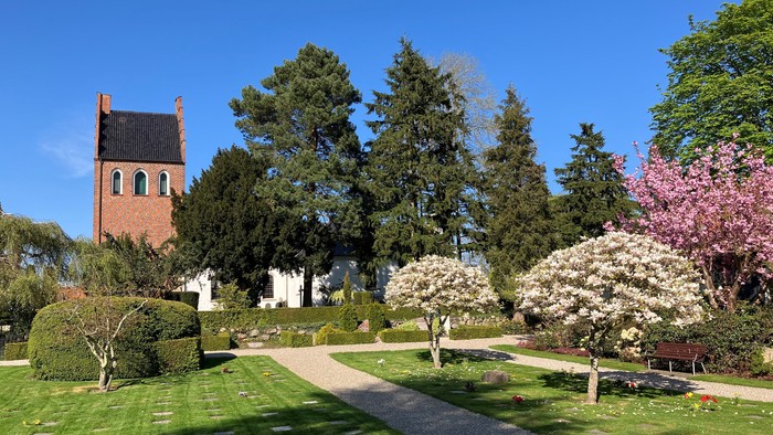 Stille kirkegård med blomstrende træer, velplejede græsplæner og en historisk murstenskirke i baggrunden.