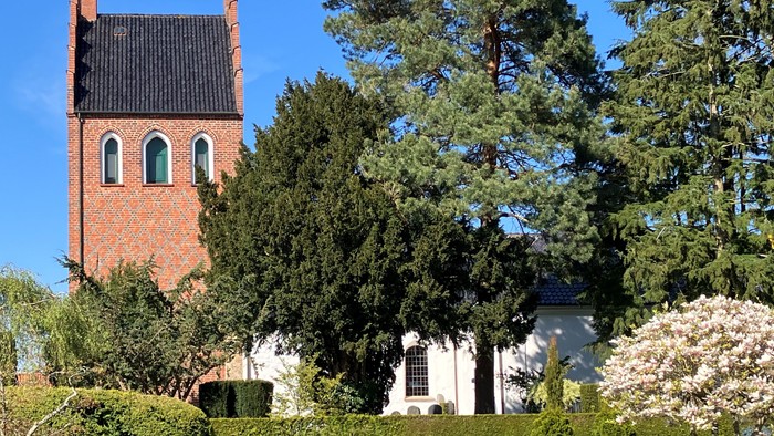 Hyggelig kirke med murstens tårn omgivet af en velplejet have og høje stedsegrønne træer.