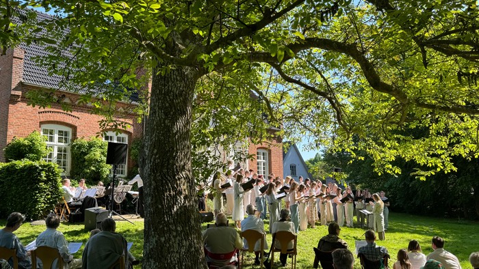 Udendørs optræden under et stort træ med publikum siddende på græs og stole.
