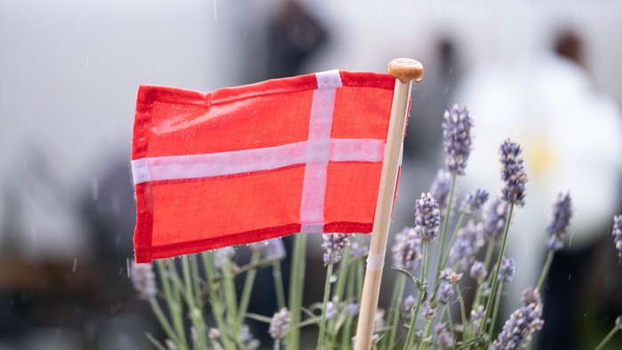 En lille dansk flag ståender mellem lavendelblomster.