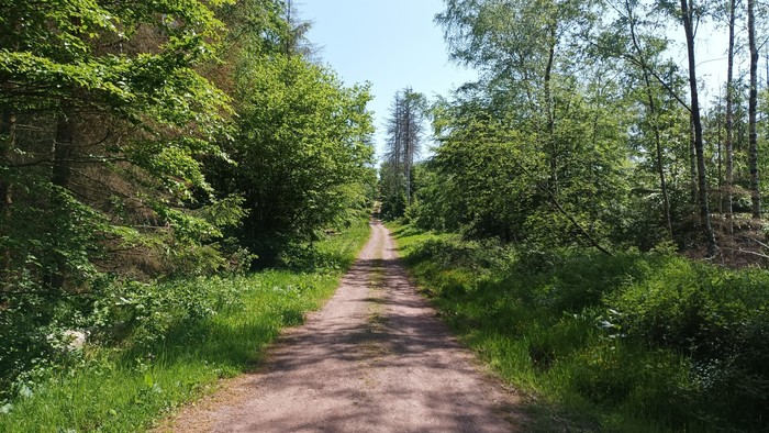 Weg