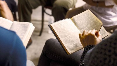Person liest in einem Buch, umgeben von anderen Lesenden
