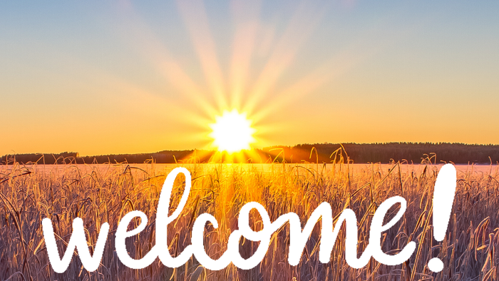 Sunrise over a field with 