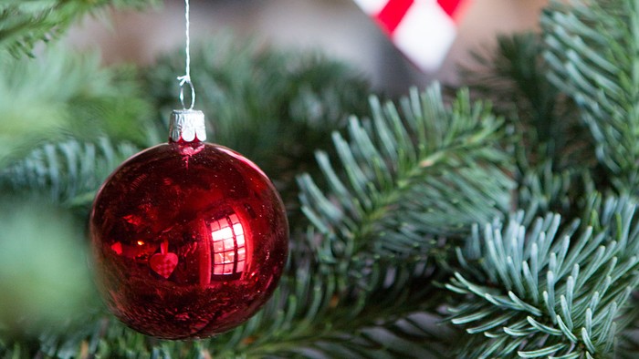 En rød glaskugle hænger på en julgran.