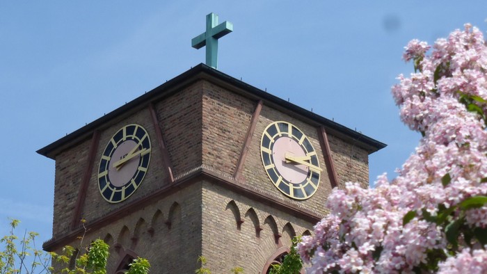 Ein Kirchturm mit Uhr und Kreuz, umgeben von blühenden Kirschblüten