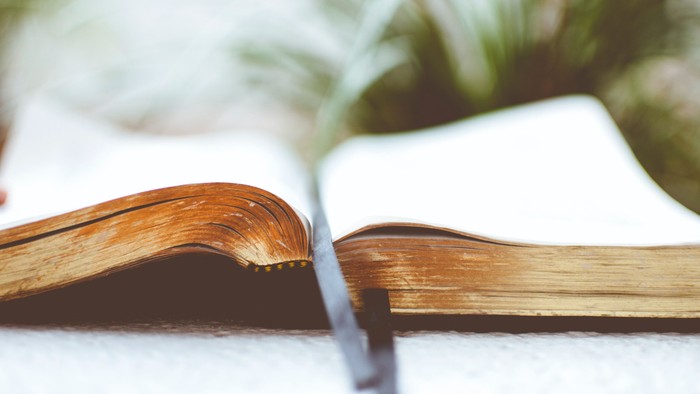 Offenes Buch mit leeren Seiten und einem darauf liegenden Stift