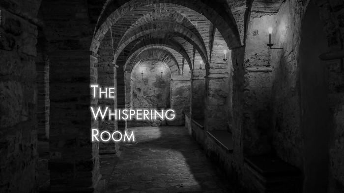 Det er et mørkt og spøgelsesagtigt rum med bueformede vegge og en lille kugle i midten.