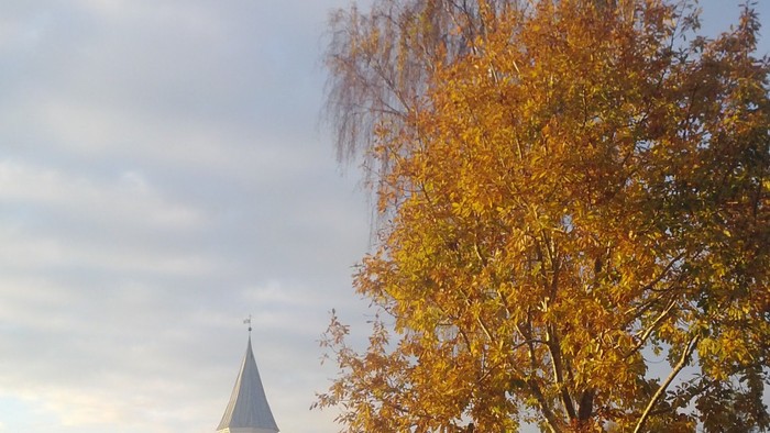 En hvid kirke med to spir med et stort gult løvtræ foran