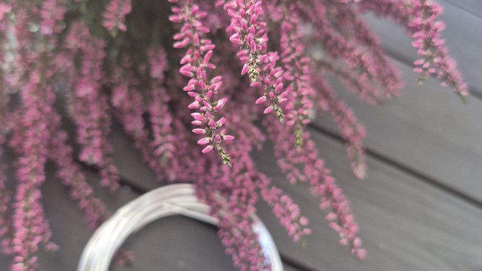 En blomst med rosa blomster og en sølv ring på bord.