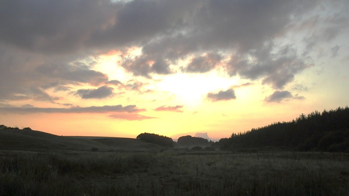 En skøn solgang over en åben landskab med skove i baggrunden
