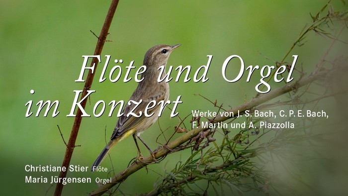 Ein Vogel sitzt auf einem Zweig vor grünem Hintergrund, Text: "Flöte und Orgel im Konzert"