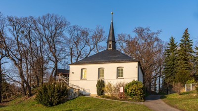 Weiße Kirche mit schwarzem Turm und goldener Spitze, umgeben von Bäumen und Gras.