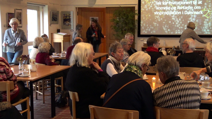 En gruppe ældre mennesker deltager i en foredrag i et lokal.