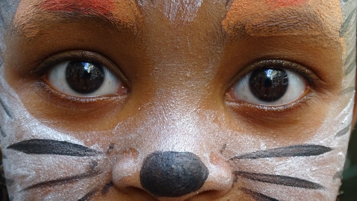 Ein Kind mit Tiger-Gesichtsmalkunst auf dem Gesicht