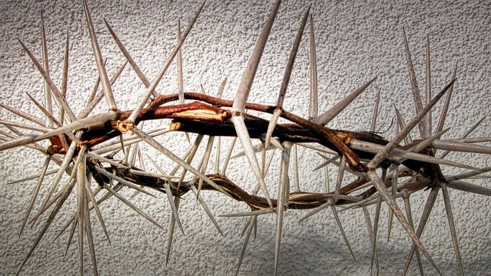 En krone af tørre trægrenet med spisse udløbere.