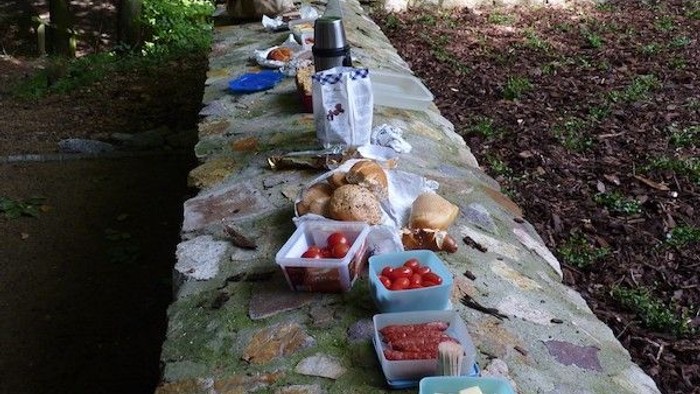 Picknick im Wald mit verschiedenen Lebensmitteln