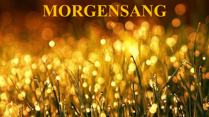 Gyldne solstråler, der skinner gennem højt græs og skaber en varm og fredfyldt stemning.