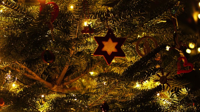 Ein Weihnachtsbaum mit Lichtern und einem Davidstern-Schmuck.