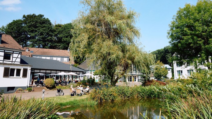 Großer Trauerweidenbaum neben einem Teich mit einem Gebäude und Menschen im Hintergrund.