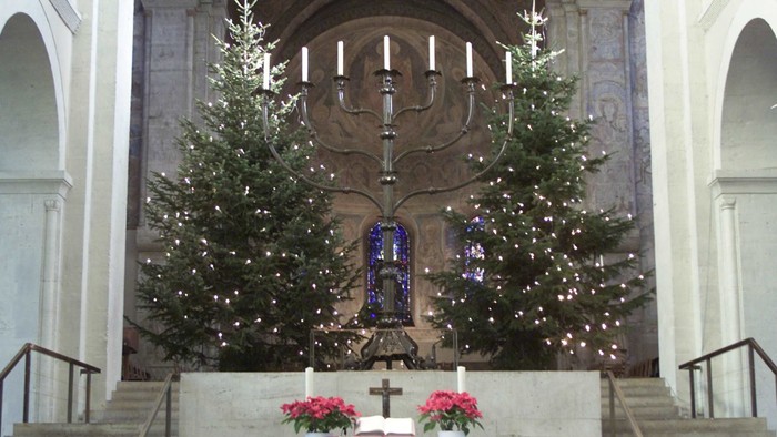 Zwei Weihnachtsbäume vor Kirchenaltar mit Kerzen und Weihnachtssterne