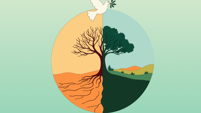 Un arbre avec des racines profondes et un oiseau blanc au sommet