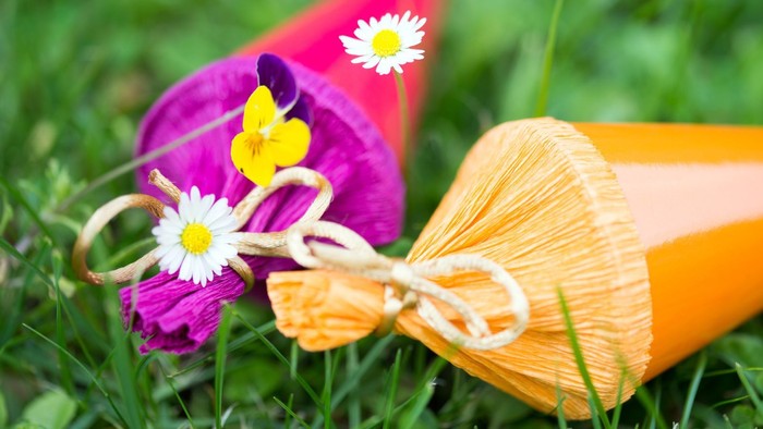 Zwei Schultüten auf einer Wiese mit Gänseblümchen