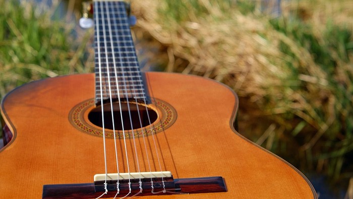 Eine braune Gitarre liegt im Gras.