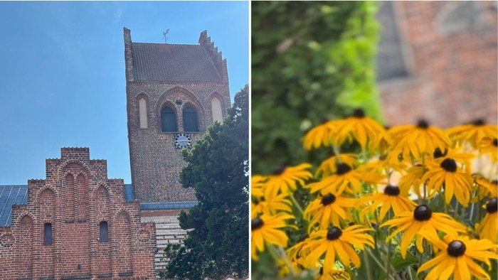 Billede af kirke og gule blomster