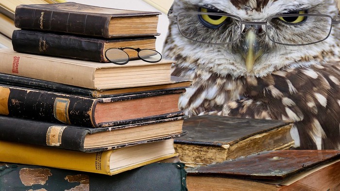Eule mit Brille sitzt hinter Bücherstapel