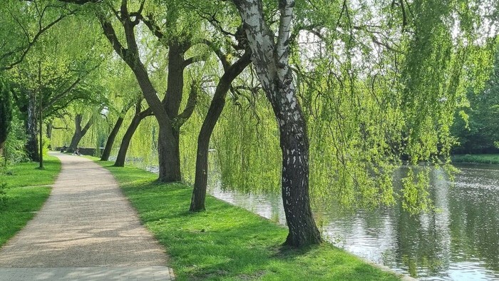 Ein von Bäumen und Gras gesäumter Weg entlang eines ruhigen Flusses.
