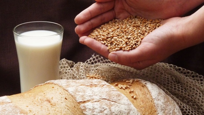 Hände, die Körner über frisch gebackenem Brot halten, daneben ein Glas Milch.