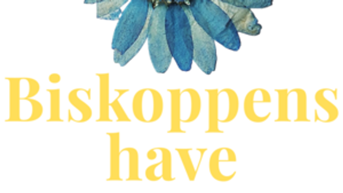 Blå Blomst med gule tekst 'Biskoppen have'