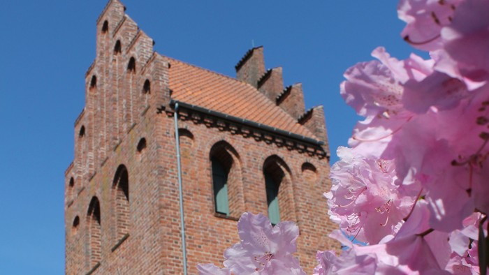 Ishøj Kirke på en skyfri forårsdag. I forgrunden ses lyserøde rododendron.